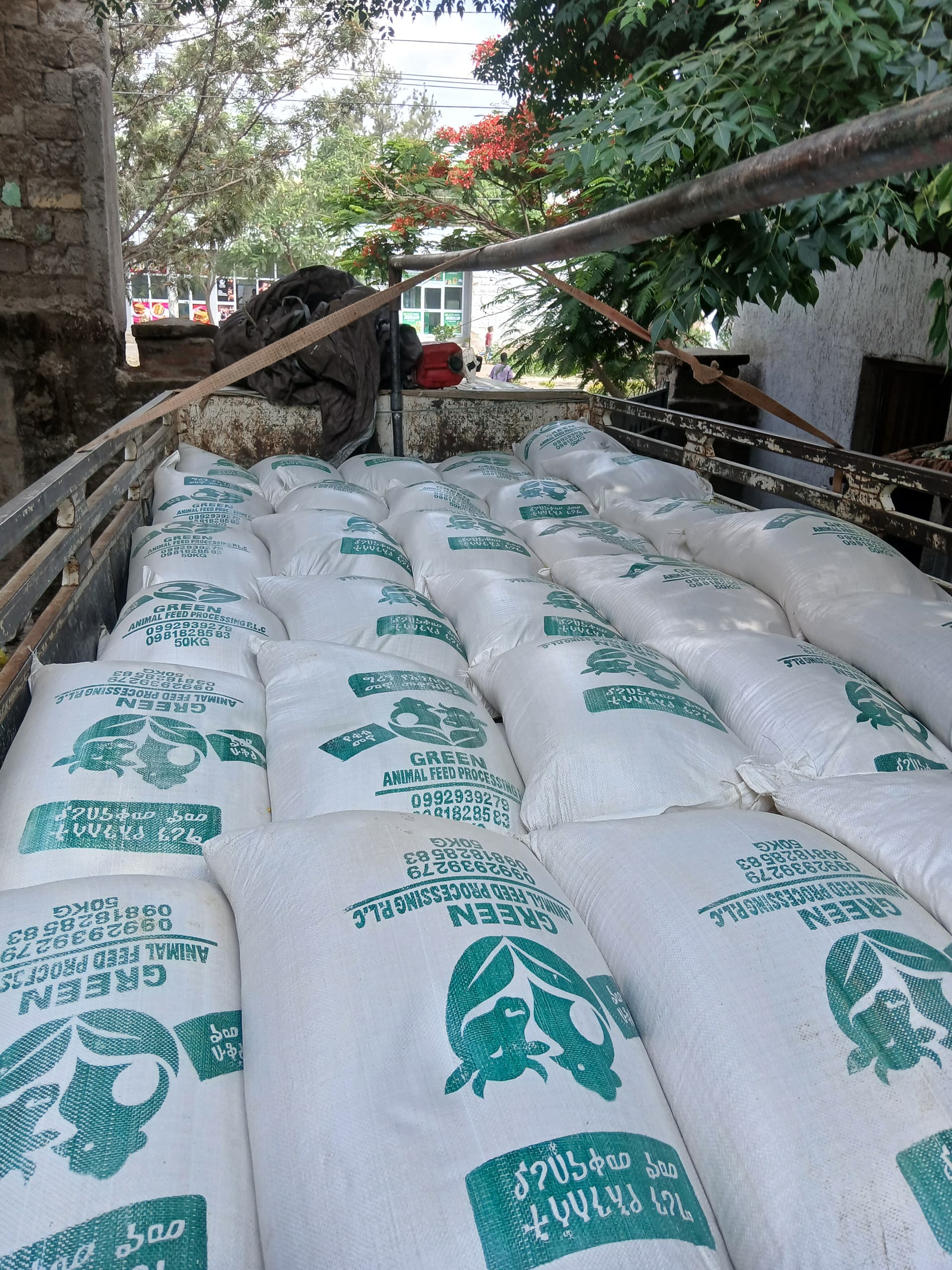 Advanced Feed Formulation