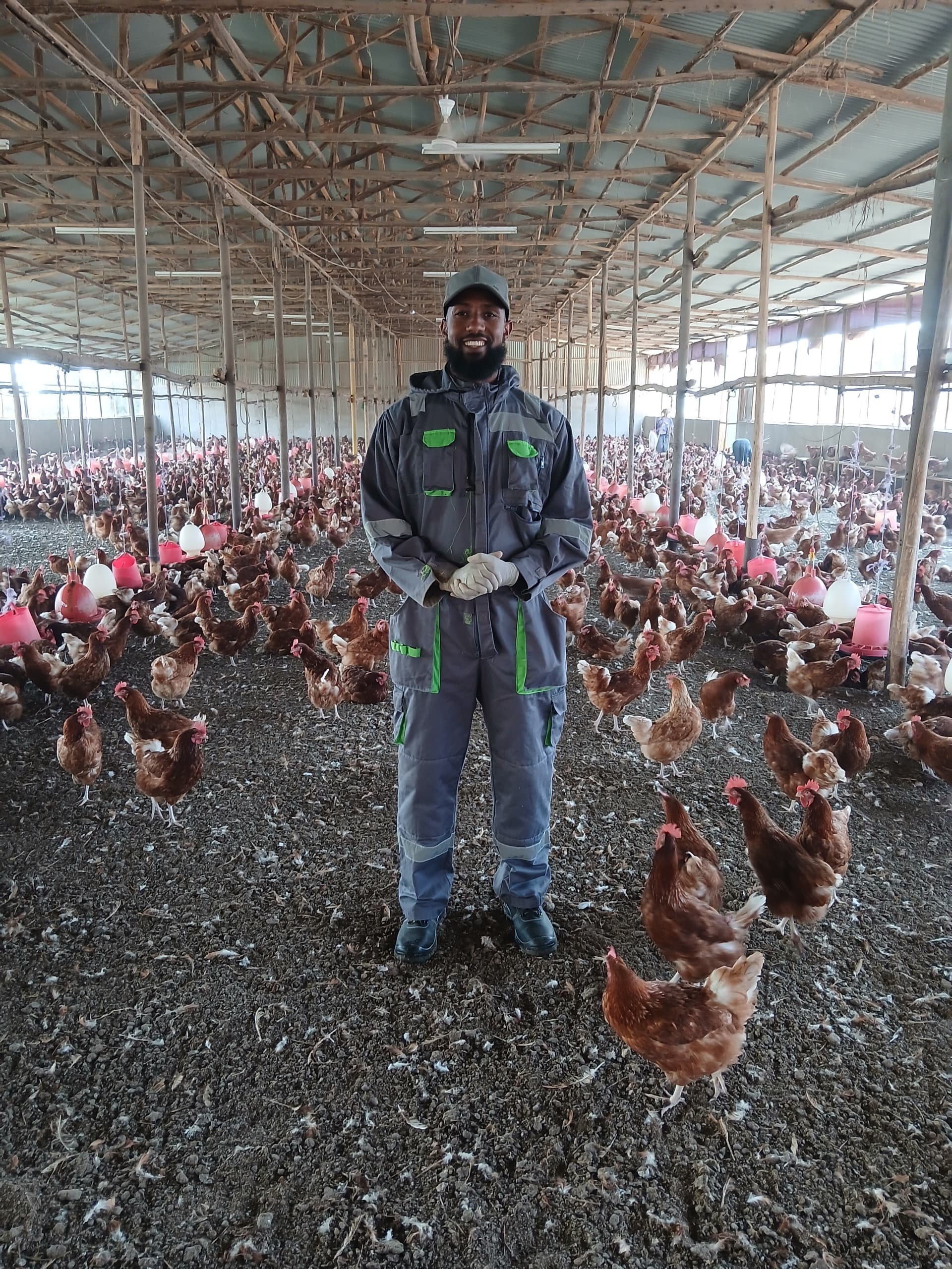 Animal feed products